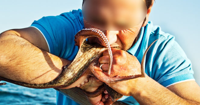 Un pêcheur mord un poulpe pour le tuer