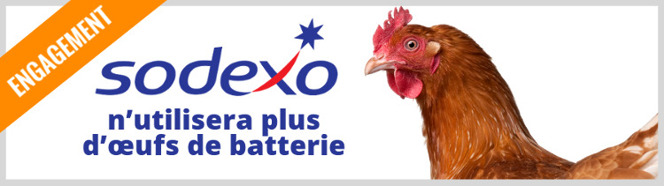 Bannière Sodexo n’utilisera plus d’œufs de batterie, partout dans le monde
