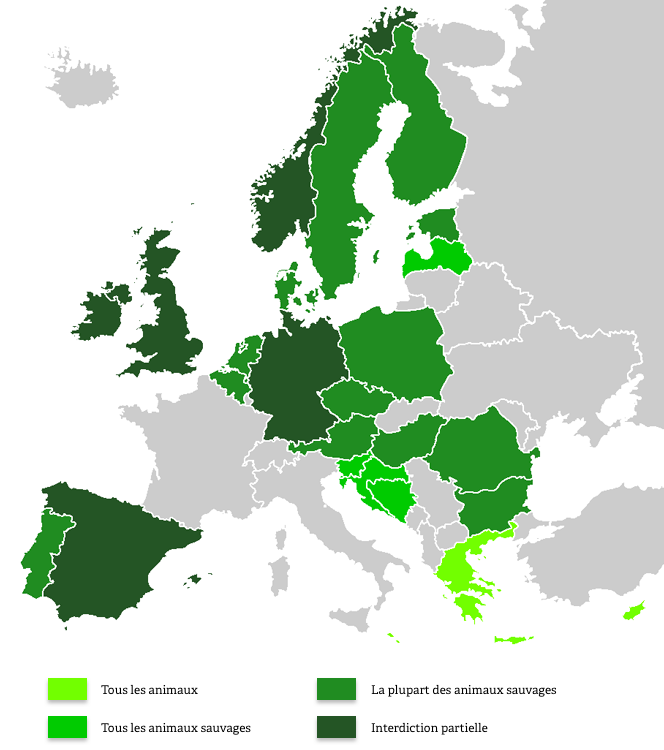 Carte d'Europe des pays ayant interdit l'exploitation d'animaux dans les cirques