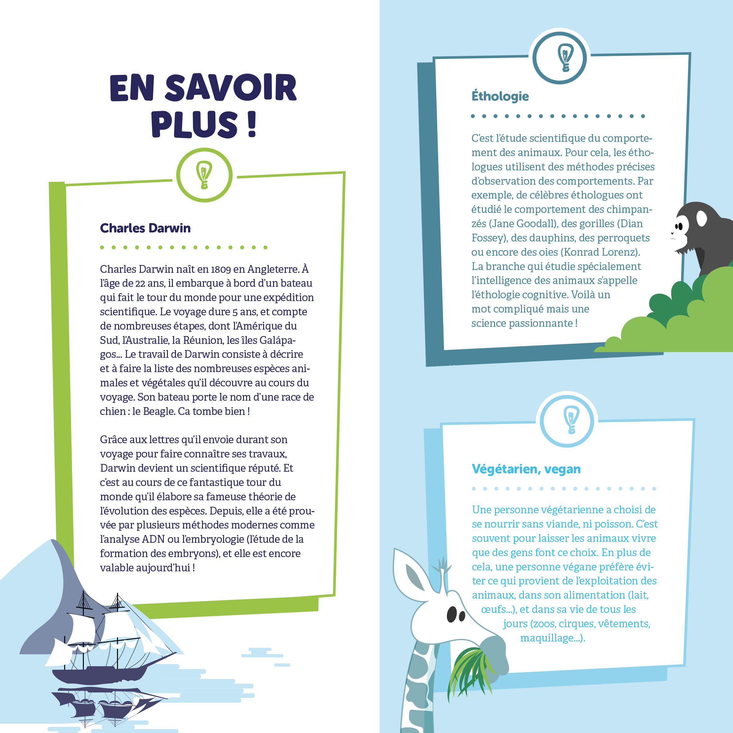 Exposition Text About Animal
