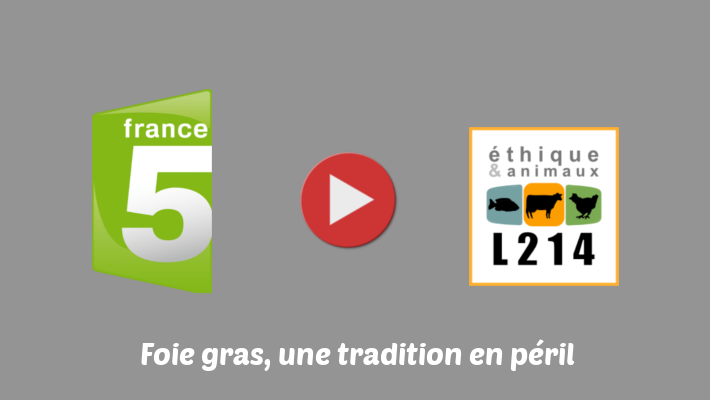 Interview de L214 dans le reportage 'Foie gras une tradition en péril'