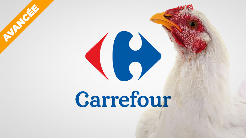 Engagement de Carrefour sur les poulets