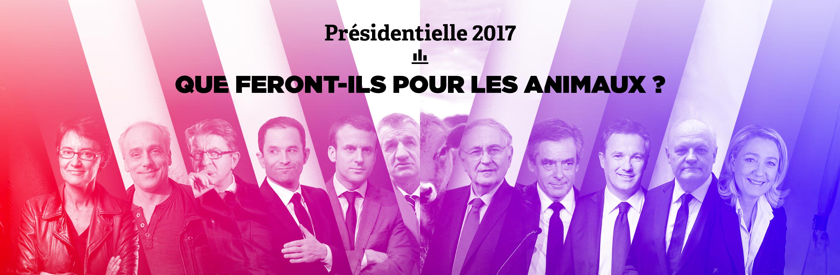 Présidentielle 2017 : que feront-ils pour les animaux ?