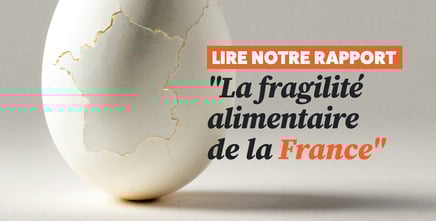 lire notre rapport sur la fragilité alimentaire en france