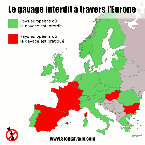 le gavage interdit à travers l'Europe