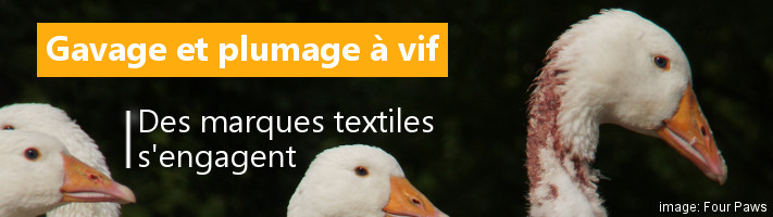 bdes marques s'engagent contre le gavage et le plumage à vif